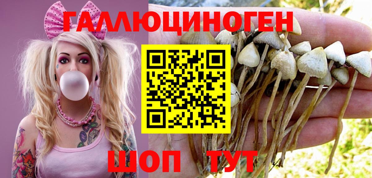 Ишим  Псилоцибиновые грибы GOLDEN TEACHER  Вход с VPN 